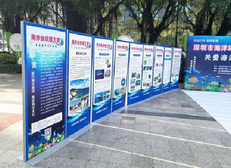 易门KT板的种类和知识。